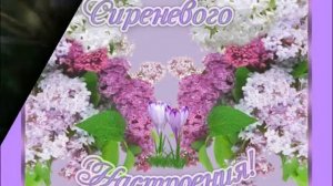 МАМИНА СИРЕНЬ,,,,,,ГРУППА *ЛУКЬЯНОВКА*