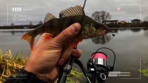 CF Nano One Air. Осенний микроджиг. Жестокий и беспощадный.