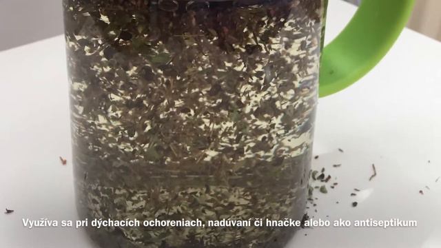 PRIRODA JE MOJ LEKAR: Materina Duska смотреть онлайн