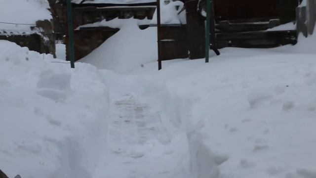 1 марта 2018. Снег,мороз и зарядка с лопатой! смотреть онлайн