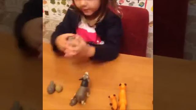 Логопедия: память, мышление, дикие животные доступным языком