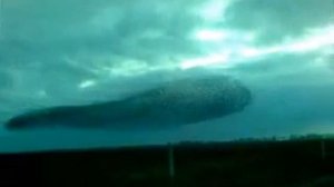 Анамалия близ Чернобыля