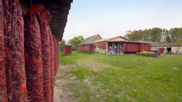 Паприка | как делают паприку | Paprika