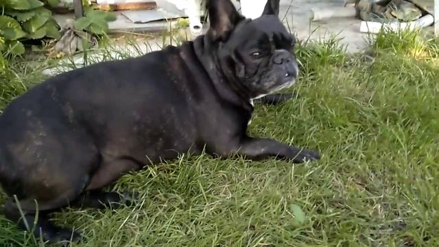 Великий ремонт смотреть онлайн