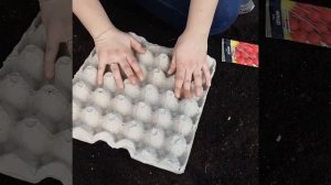 Сеем редис! Нестандартный способ посева редиса!