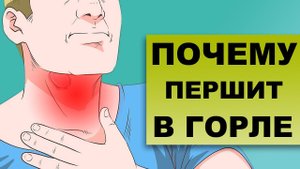 ПОЧЕМУ ПЕРШИТ В ГОРЛЕ И КАШЕЛЬ?