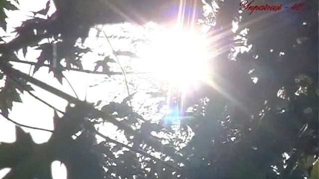 приглашаем на день города Украинка 2013 смотреть онлайн