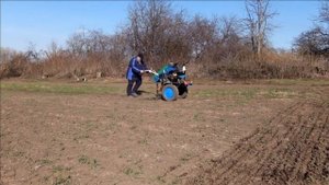 Посев озимой ржи с викой на сидерат. Боронование, Прикатывание МБ-2НЕВА.