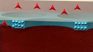 Как работает губчатая повязка Гидротак (HydroTac)