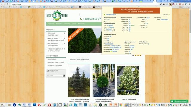 Видеоурок 1   Быстрый анализ сайта (Курс SEO-оптимизации сайтов)