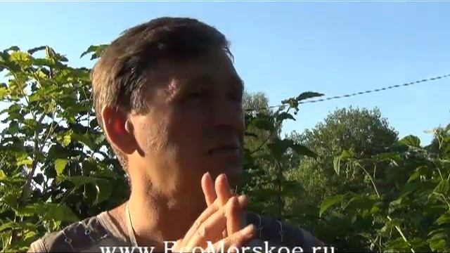 Опыт пермакультуры [Эко-курорт "Морское"]