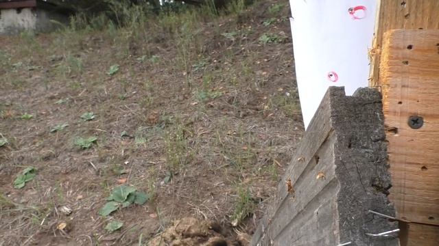 Больше пороха - меньше резкости часть 2(дополнение так же и к видео про опилки) смотреть онлайн