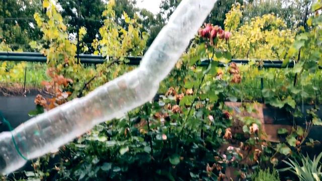 ДАЧА СВОИМИ РУКАМИ. Beautiful Summer Cottage. смотреть онлайн