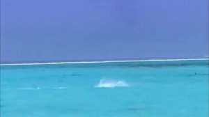 Туристические жемчужины Бора Бора Bora Bora