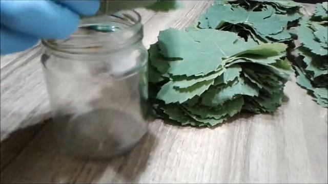 Заготовка Виноградных Листьев На Зиму Meyne Yarpaginin Baglanma Usulu смотреть онлайн