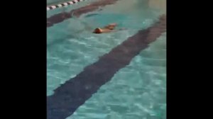 VLOG Съездили в эко отель [Изумрудный лес]