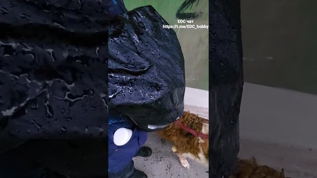 Дождевик на рюкзак. Водонепроницаемый - защитный чехол для рюкзака. EDC чат - @edc_hobby_chat