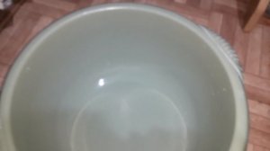 Как избавиться от вшей в домашних условиях за 1 день