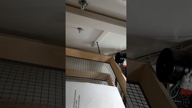 Обзор инкубатор на 350 яиц смотреть онлайн