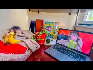 Гамадриленыш Люська смотрит про себя КИНО