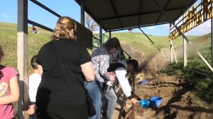 Одинокий тополь с каскадом родников в Калмыкии!