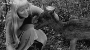 Марина Влади(Marina Vladi) - Колдунья (La sorcière, 1956)