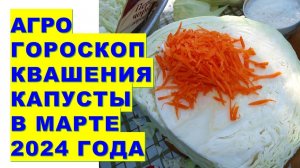 Агрогороскоп квашения капусты в марте 2024 года Agrohoroscope of sauerkraut for March 2024