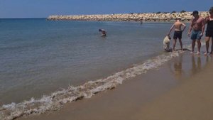 Sunis Evren Beach Resort & Spa, Weg zum Strand Дорога к морю от главного корпуса.Выловили мор звезд