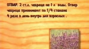 21 Чабрец Тимьян ползучий
