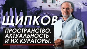 ПРОСТРАНСТВО, АКТУАЛЬНОСТЬ И ИХ КУРАТОРЫ. ЩИПКОВ № 264