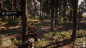 Red Dead Redemption 2 How to Scan and Track a panther without getting killed