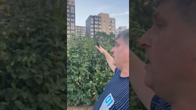 Обзор ЖК "Скандинавия".