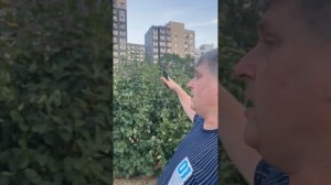 Обзор ЖК "Скандинавия".