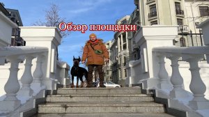 Обзор площадки