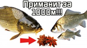 Карась и карп клюет так, что забываю про всё на свете после этой добавки. Ароматизатор на карася.