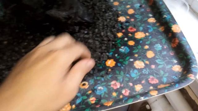 Оформление аквариума, мох и коряги своими руками смотреть онлайн