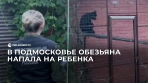 В Подмосковье обезьяна покусала ребенка