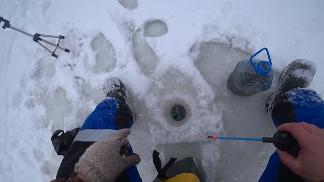 Первый лед на реке!Наловил плотвы. На Урагане Тайга по замершим кочкам и лесу почти без снега! смотреть онлайн