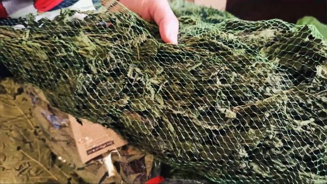 Веник для бани из КРАПИВЫ | Орудие пыток или способ получения удовольствия ? смотреть онлайн