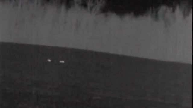 Зайцы в тепловизор смотреть онлайн