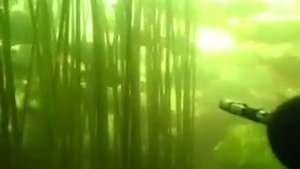 Подводная охота в Воронежской области