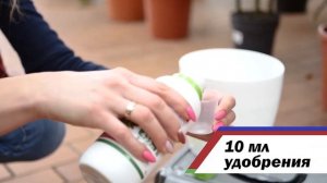 Азотные удобрения. БЕЛВИТО для фиалок