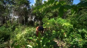 Build Incredible Fastest Wooden House Method with Grass Roof