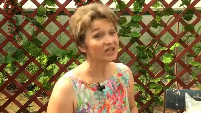 Полезные Советы Как довезти банки с заготовками домой чтобы в пути не разбились смотреть онлайн