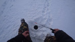 Ловля судака . Тяжёлые условия .  Рыбалка в глухозимье .