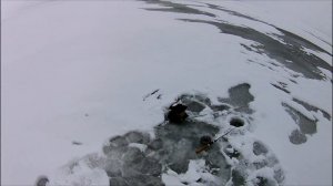 Зимняя рыбалка в Саратовской области. Чардым. 2020 г.