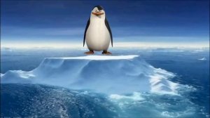 Пингвины (продолжение)