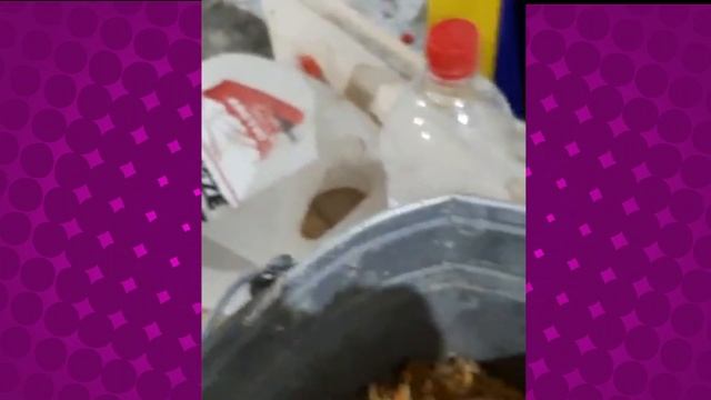 Отзыв о работе кормового экструдера Фавор ЭК 150Ш. ЗАКАЗЫВАЙТЕ ЛУЧШИЕ КОРМОВЫЕ ЭКСТРУДЕРЫ В РОССИИ!
