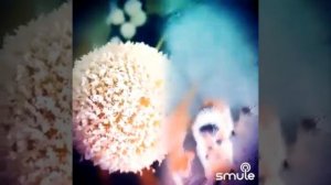 Такая мне планета нравится