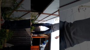 КАК ПРАВИЛЬНО КАТАТЬСЯ НА СКЕЙТБОРДЕ